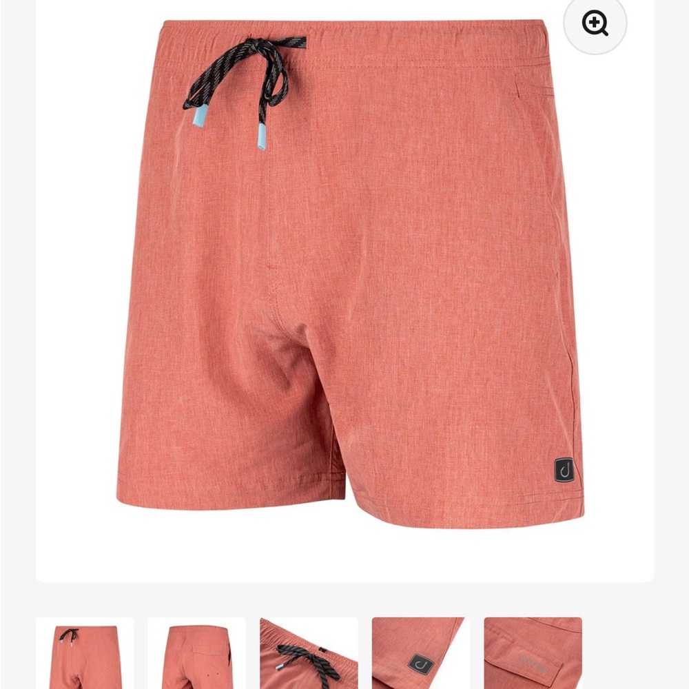 Avid Latitude Volly Swim Shorts